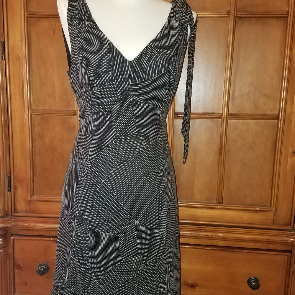 Ann Taylor Loft Dress